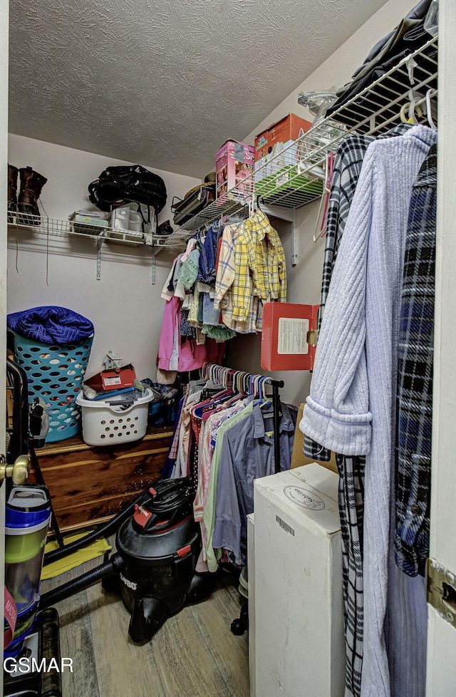 spacious closet with hardwood / wood-style floors