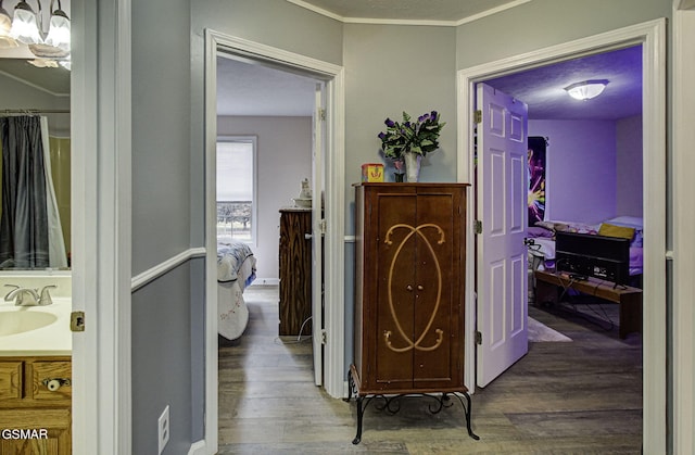 corridor featuring hardwood / wood-style flooring, ornamental molding, and sink