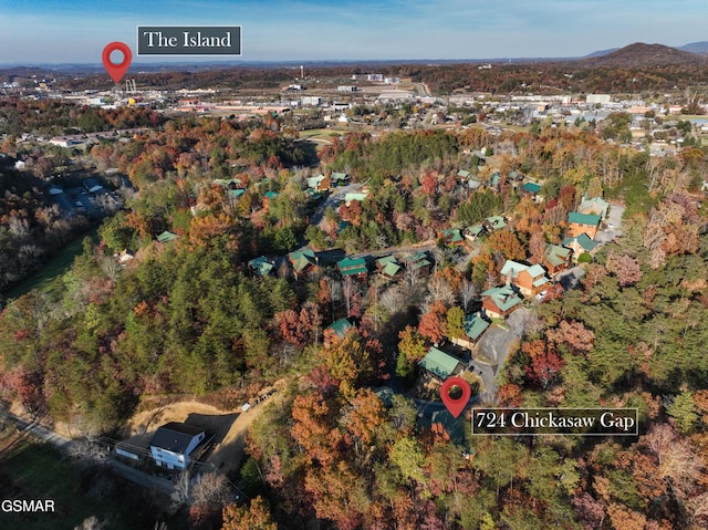 724 Chickasaw Gap Way, Pigeon Forge, TN 37863 - photo 6