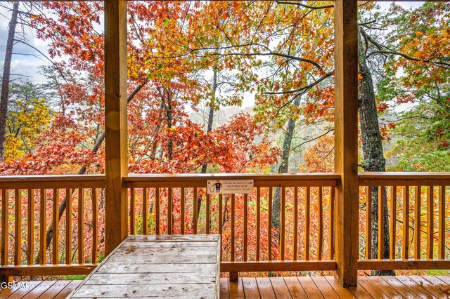 724 Chickasaw Gap Way, Pigeon Forge, TN 37863 - photo 40