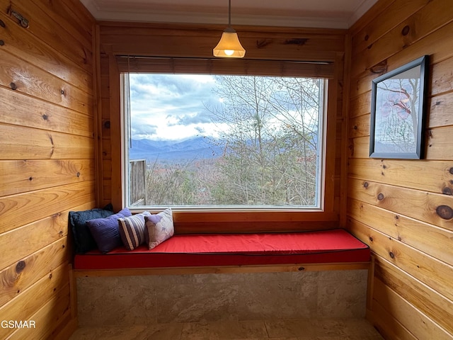 unfurnished room with a mountain view, wood walls, and crown molding