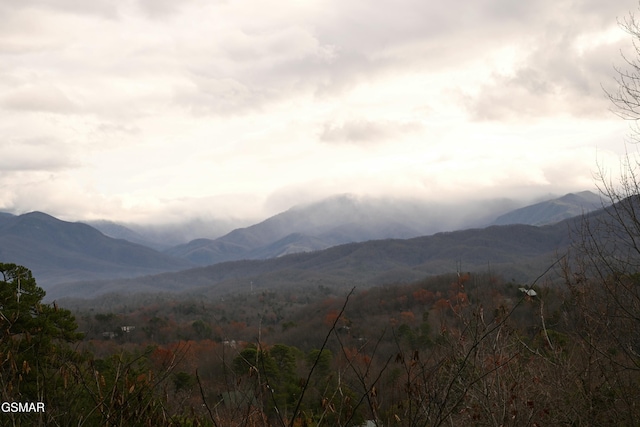 property view of mountains