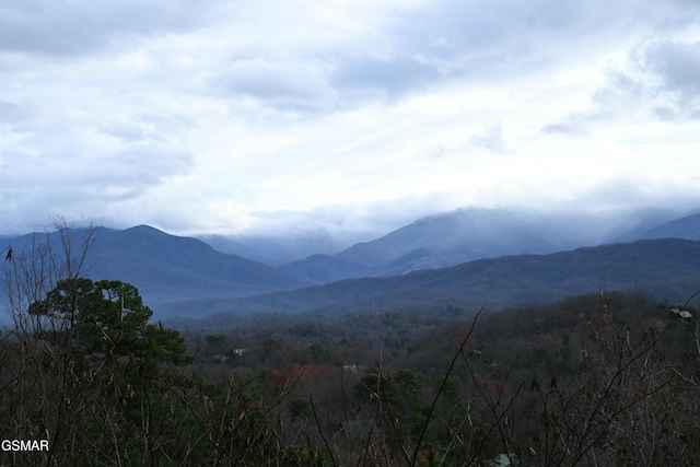 view of mountain feature