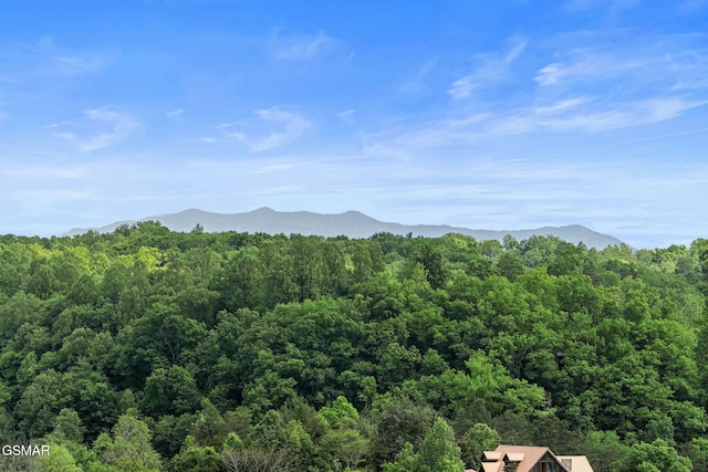 4541 Shangrila Way, Sevierville, TN 37876 - mountain view with a forest view