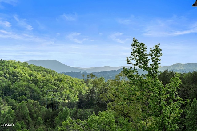 4541 Shangrila Way, Sevierville, TN 37876 - view of mountain feature with a wooded view