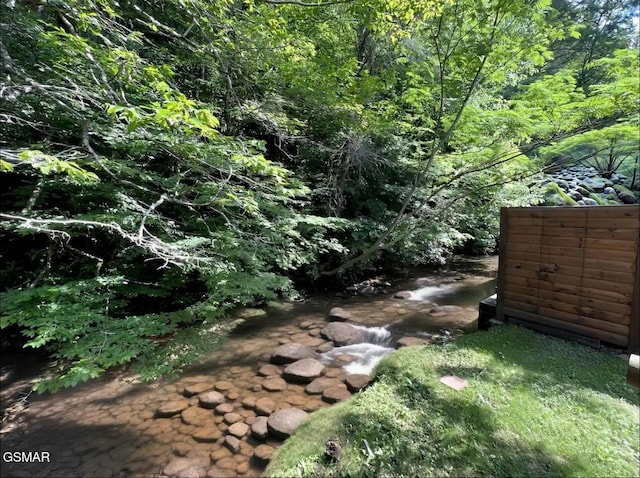 311 Caney Creek Rd, Pigeon Forge, TN 37863 - view of yard featuring a view of trees