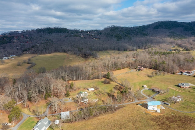 Listing photo 3 for 8.5ACRES Ownby Rd, Sevierville TN 37862