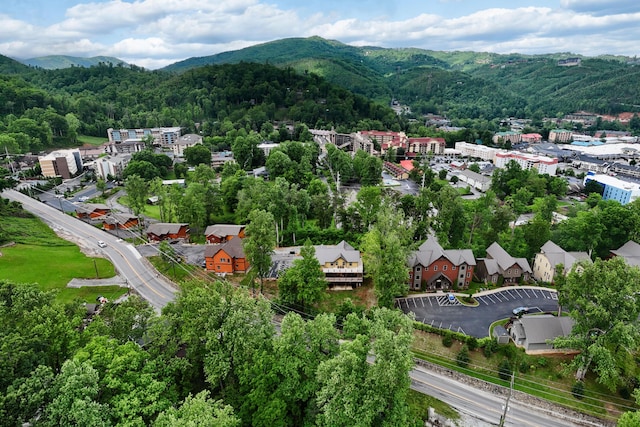 604 Cherokee Orchard Rd, Gatlinburg, TN 37738 - bird's eye view of a mountain backdrop and a forest