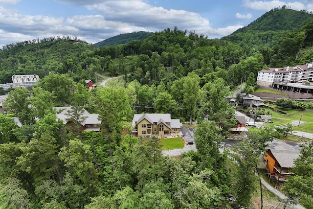 604 Cherokee Orchard Rd, Gatlinburg, TN 37738 - view of mountain background with a heavily wooded area
