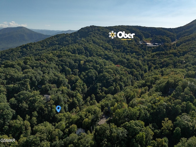 mountain view with a forest view