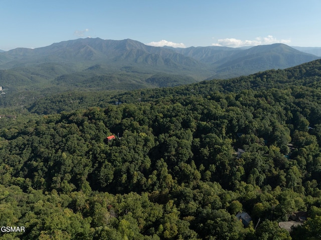 property view of mountains with a forest view