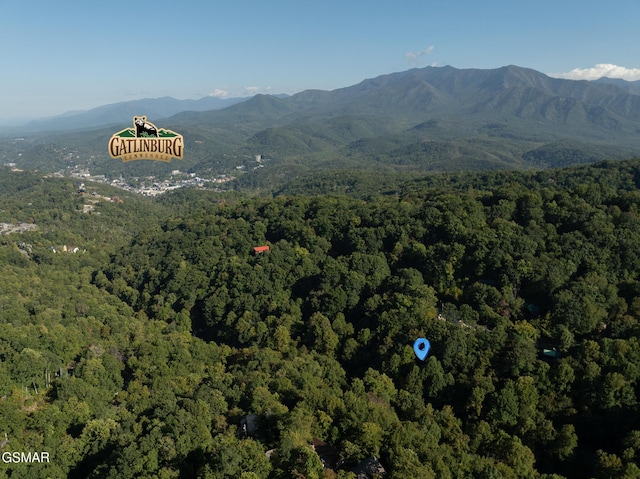 aerial view with a mountain view and a view of trees