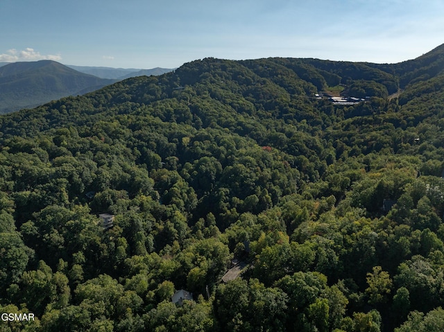 mountain view with a wooded view