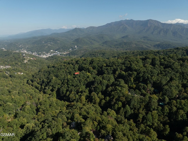 view of mountain feature with a forest view