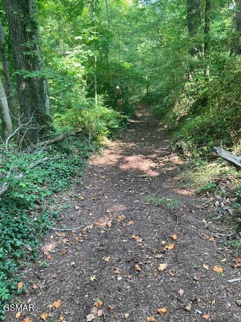 659 Snowflower Cir Unit 143, Pigeon Forge, TN 37863 - view of woods