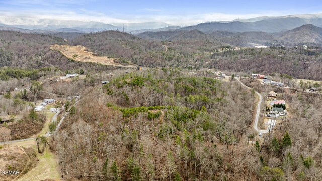 1661 Mitchell Dr, Sevierville, TN 37876