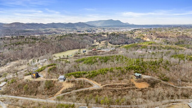 1661 Mitchell Dr, Sevierville, TN 37876