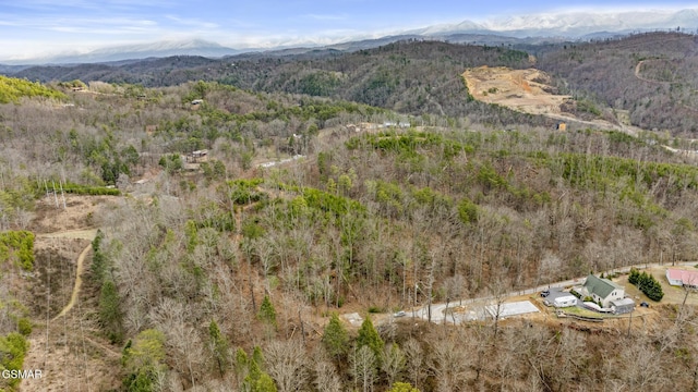 Listing photo 3 for 1661 Mitchell Dr, Sevierville TN 37876