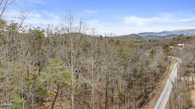 1661 Mitchell Dr, Sevierville, TN 37876