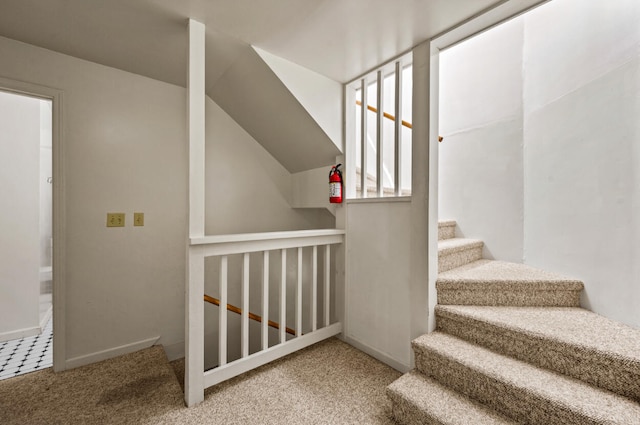 stairway with carpet flooring