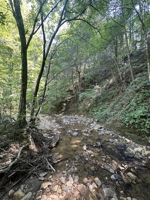 view of local wilderness