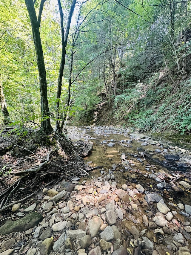 view of local wilderness