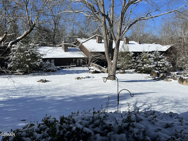 view of yard layered in snow