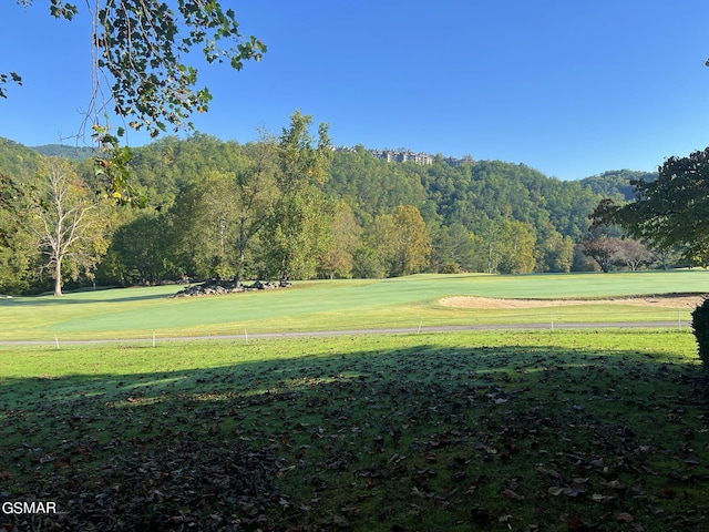 view of community with a yard