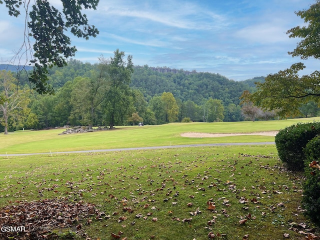 view of property's community with a lawn