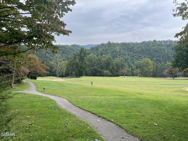 view of home's community featuring a lawn