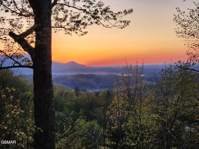 2319 Panther Way, Sevierville, TN 37876 - mountain view featuring a heavily wooded area