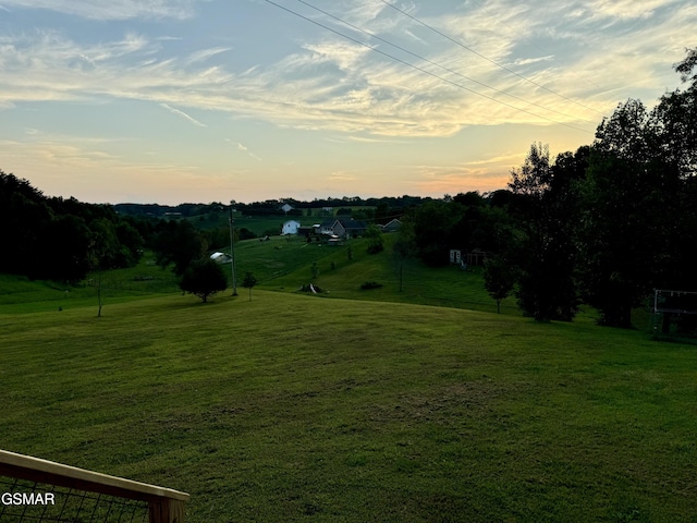 view of yard at dusk