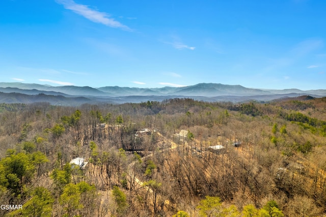 view of mountain feature with a forest view