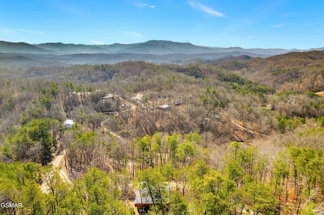 mountain view featuring a forest view