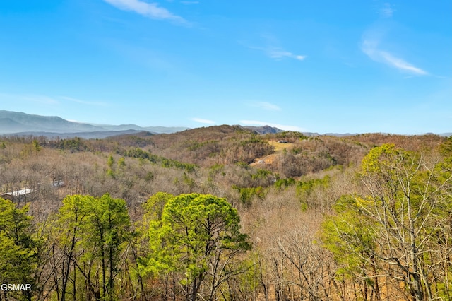 mountain view featuring a view of trees