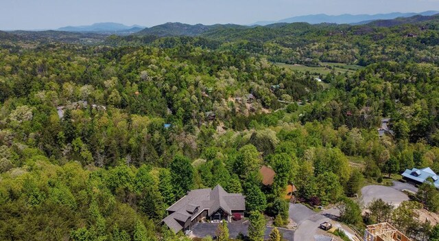 2837 Cedar Falls Way, Sevierville, TN 37862 - aerial view with a mountain view and a view of trees