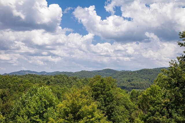 2837 Cedar Falls Way, Sevierville, TN 37862 - view of mountain feature featuring a forest view