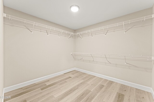 1039 Cedar Ln, Sevierville, TN 37862 - walk in closet featuring light wood-style floors