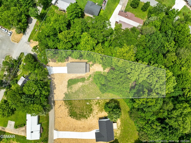 1039 Cedar Ln, Sevierville, TN 37862 - aerial view of property's location with property parcel outlined