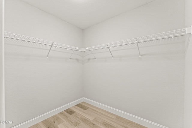 1039 Cedar Ln, Sevierville, TN 37862 - walk in closet with wood finished floors