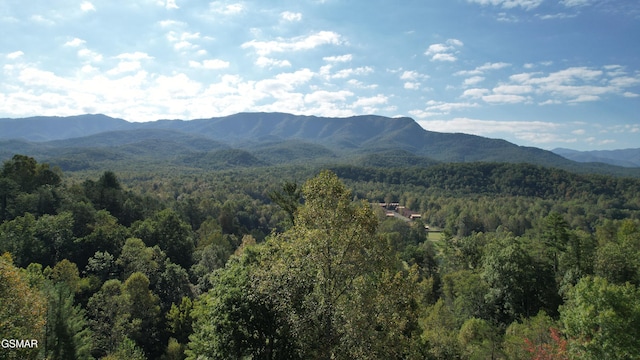 3709 Eagle Ln, Gatlinburg, TN 37738 - view of mountain feature featuring a view of trees