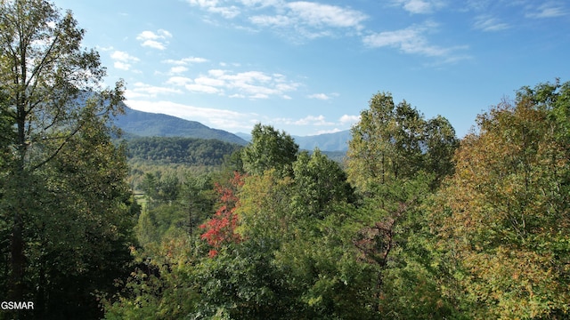 view of mountain feature with a wooded view