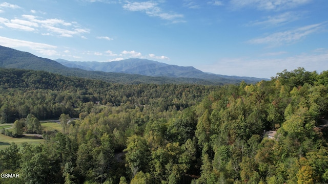 view of mountain feature with a view of trees