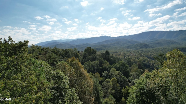 view of mountain feature with a forest view