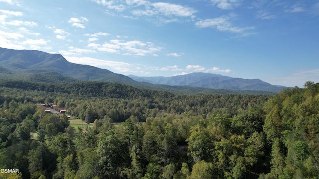 mountain view featuring a forest view