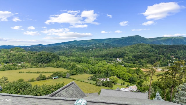2306 Hollow Branch Way, Pigeon Forge, TN 37862 - photo 26