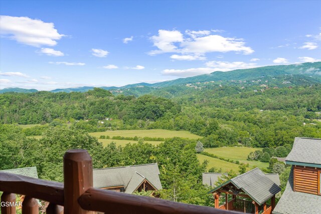 2306 Hollow Branch Way, Pigeon Forge, TN 37862 - photo 21