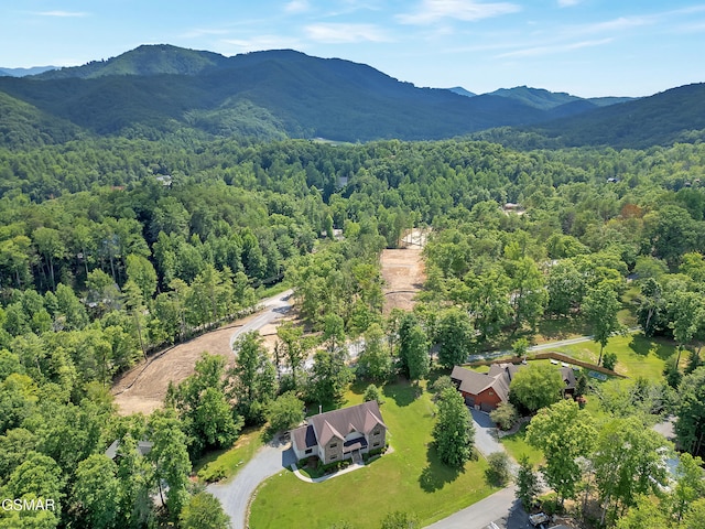 2754 Owls Cove Way, Sevierville, TN 37862 - photo 62
