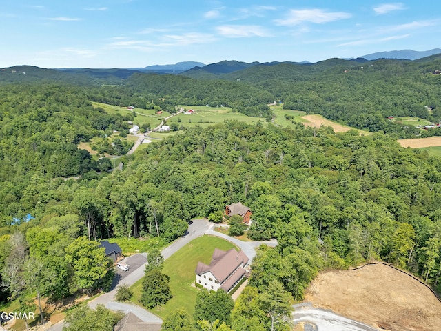 2754 Owls Cove Way, Sevierville, TN 37862 - photo 60