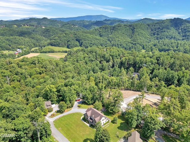 2754 Owls Cove Way, Sevierville, TN 37862 - photo 59